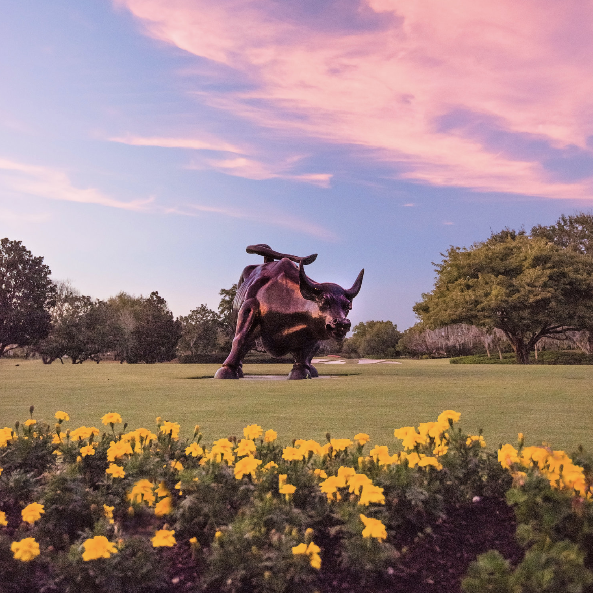metal bull on a golf course with flowers